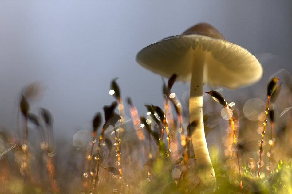 , Иваненко Светлана