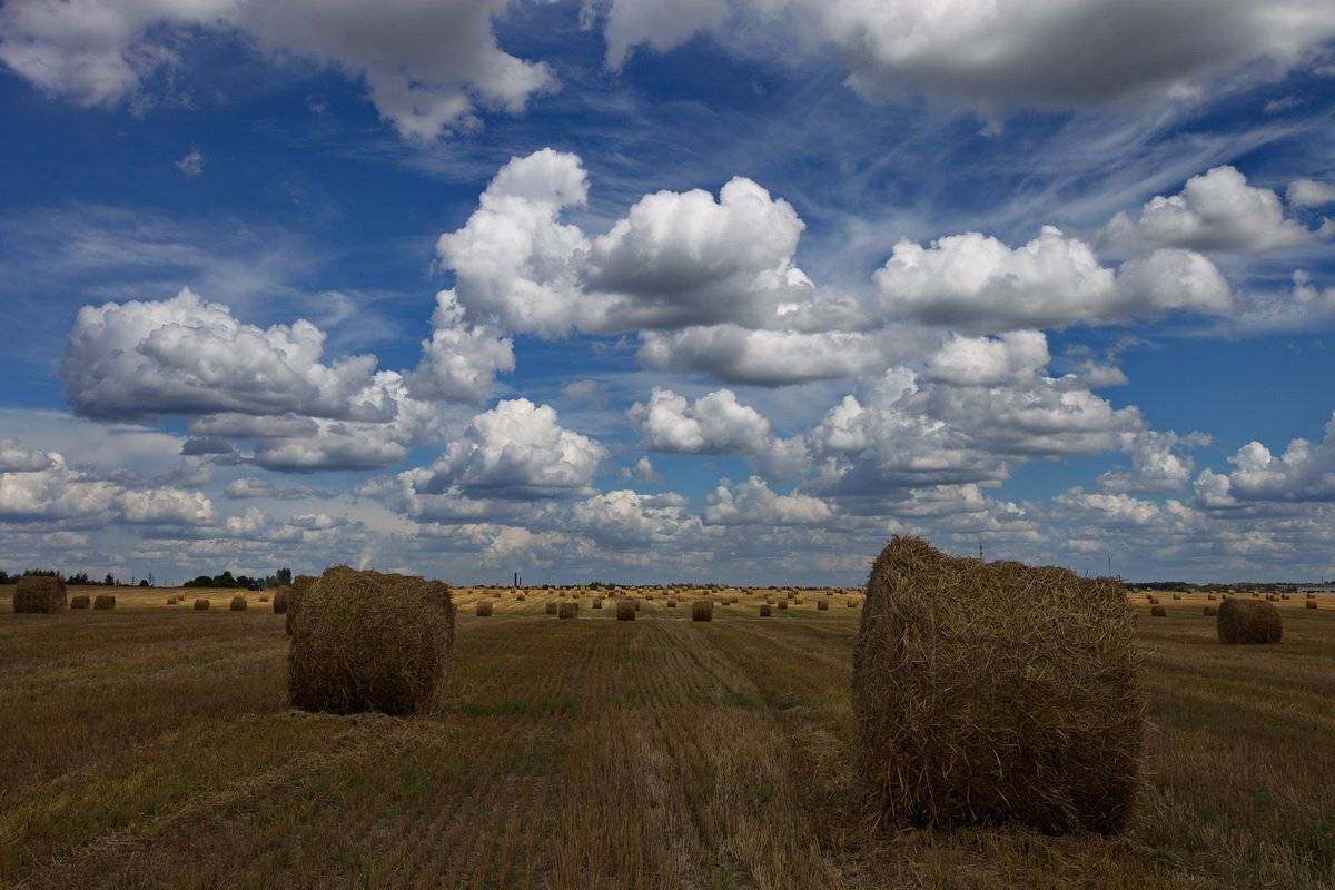 , Валерий Кондратов