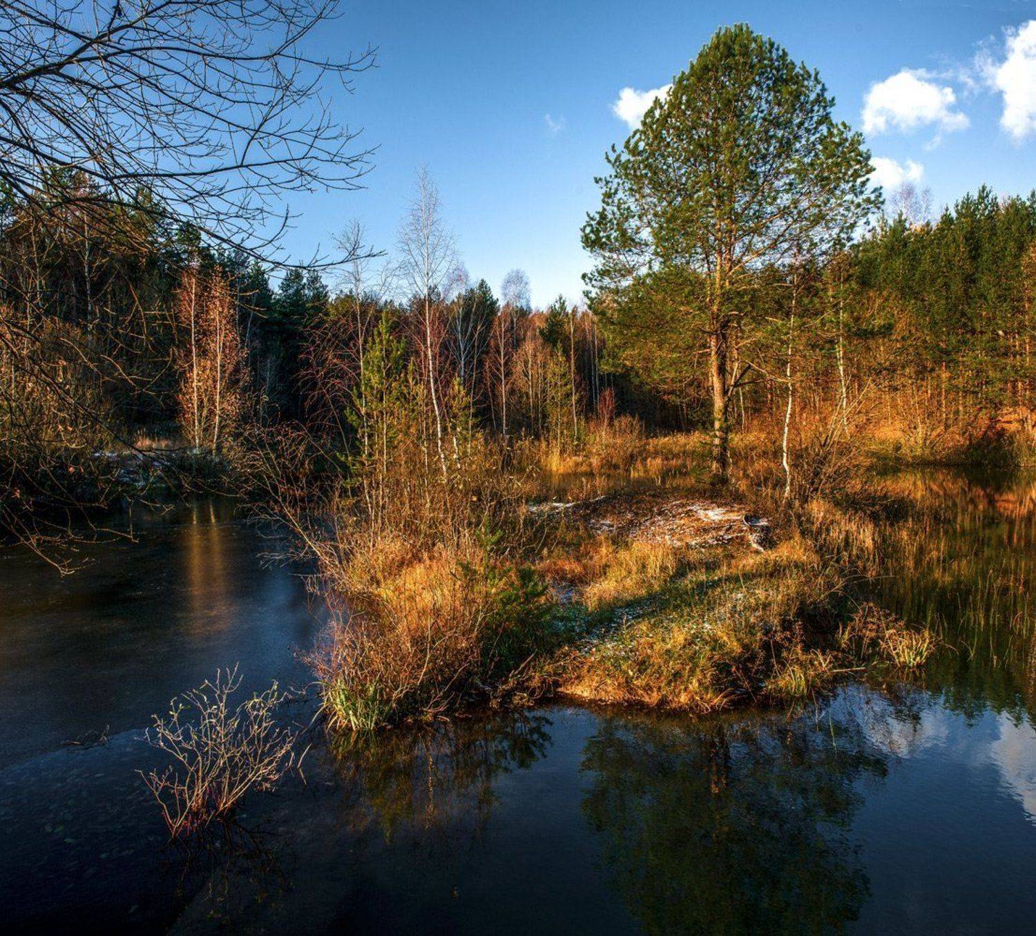 , Евгений Цветков