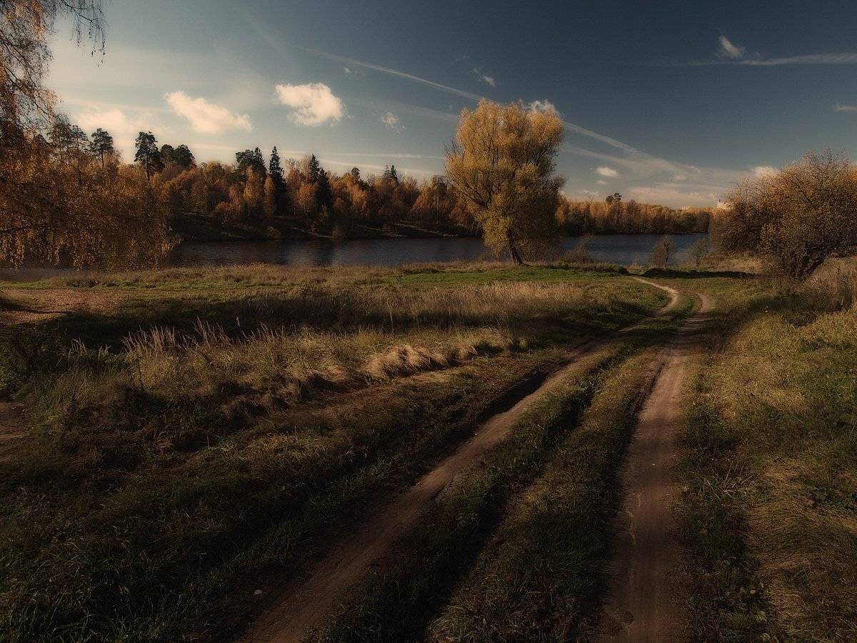 , Владимир Перепечаев