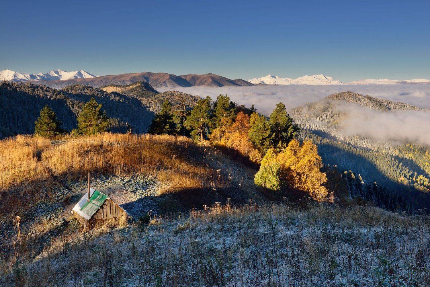 , Максим Евдокимов