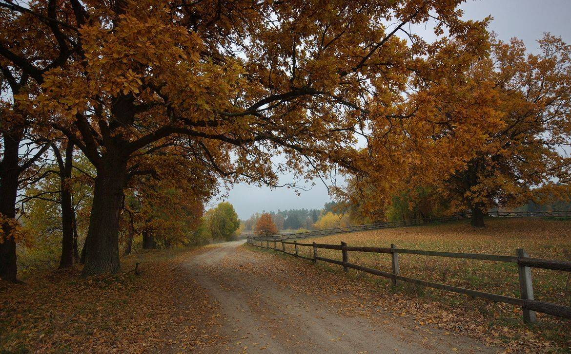 , Володимир Карчевський