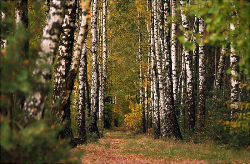 ****** фото превью