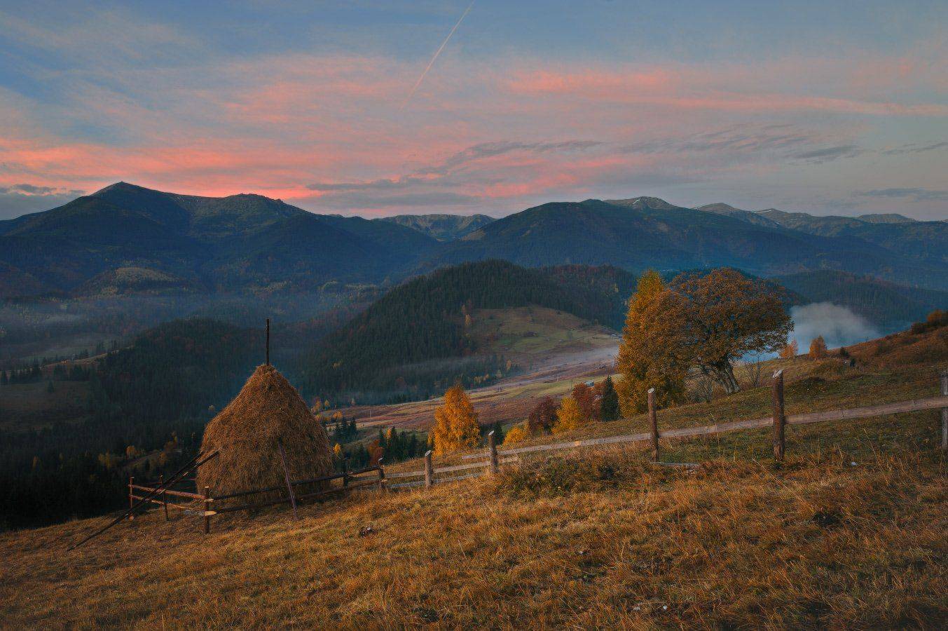 , Олег Логунов