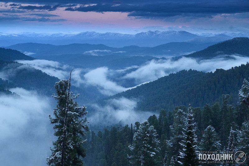 Вечер в тайге фото превью