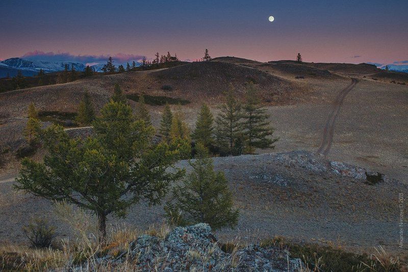 Лунная дорожка фото превью