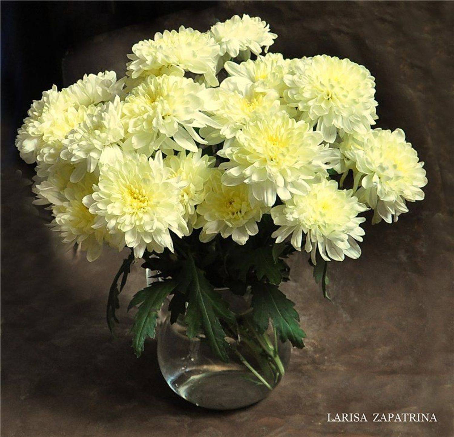 , Лариса Запатрина