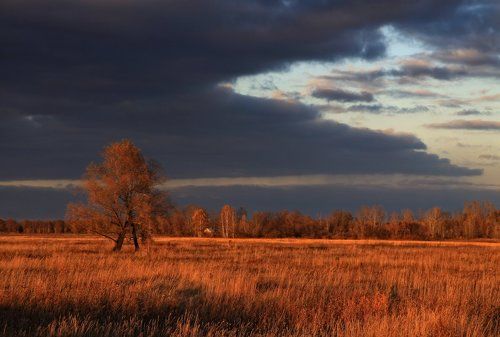 Рыжий октябрь