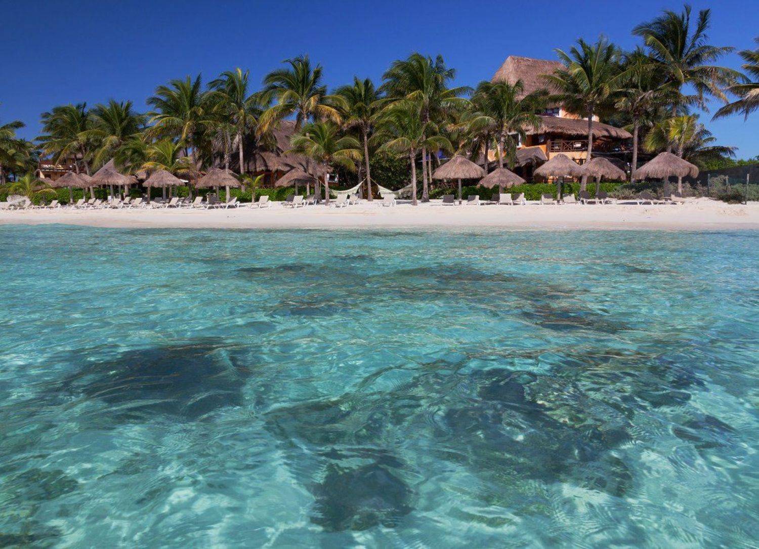 море, карибы, камни, пляж, грибочки, лежаки, отель, пальмы, плайя, дель, кармен, мексика, Георгий Машковцев