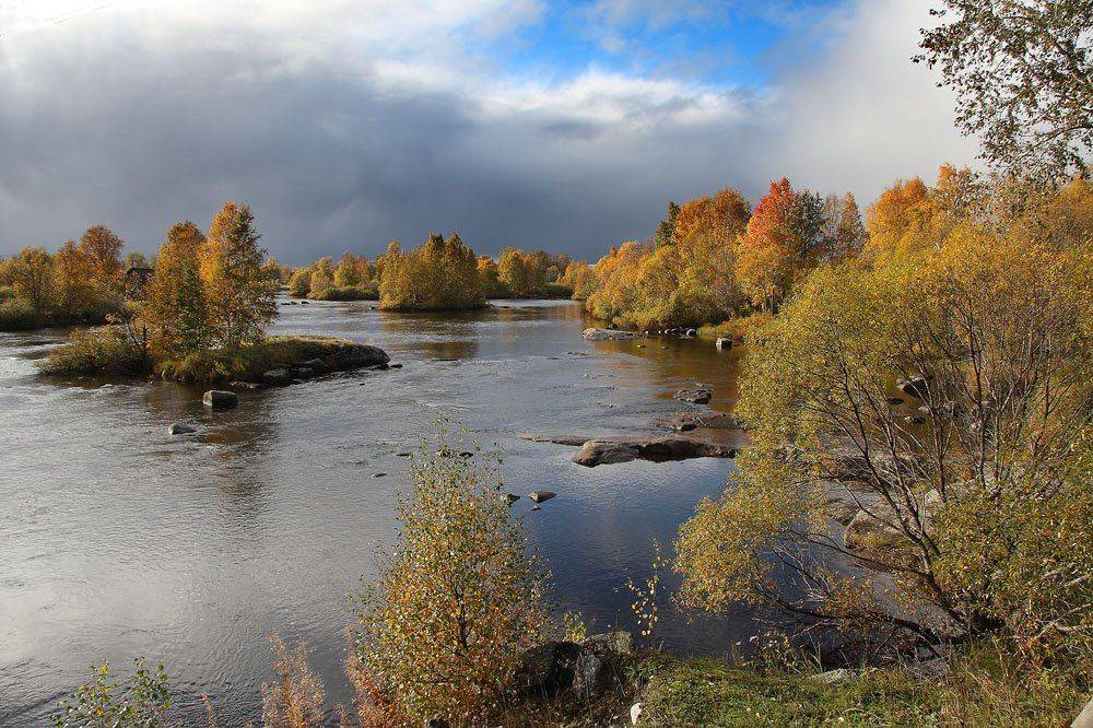 , Александр Коротков