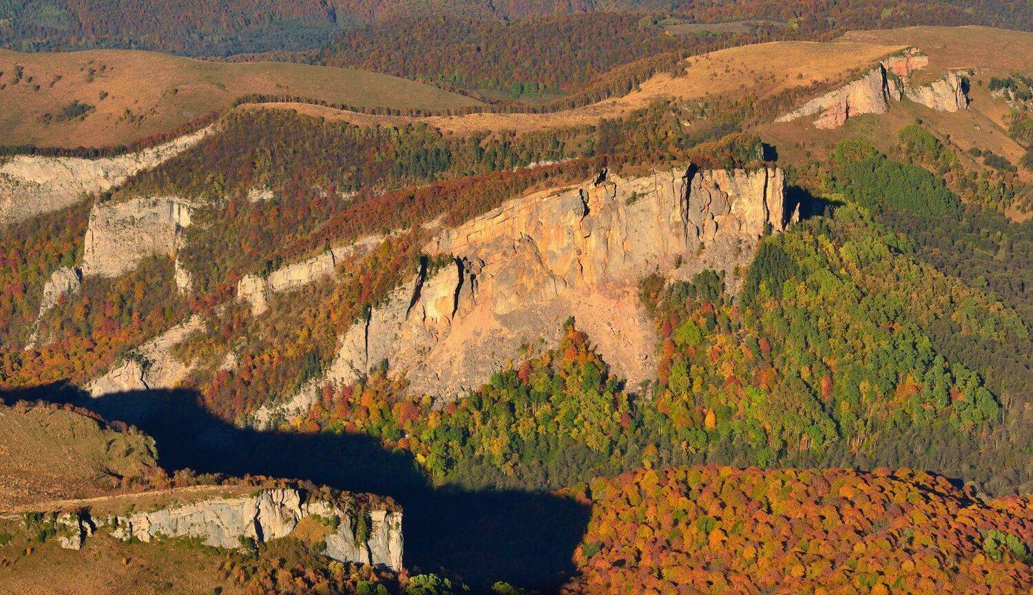 , Максим Евдокимов