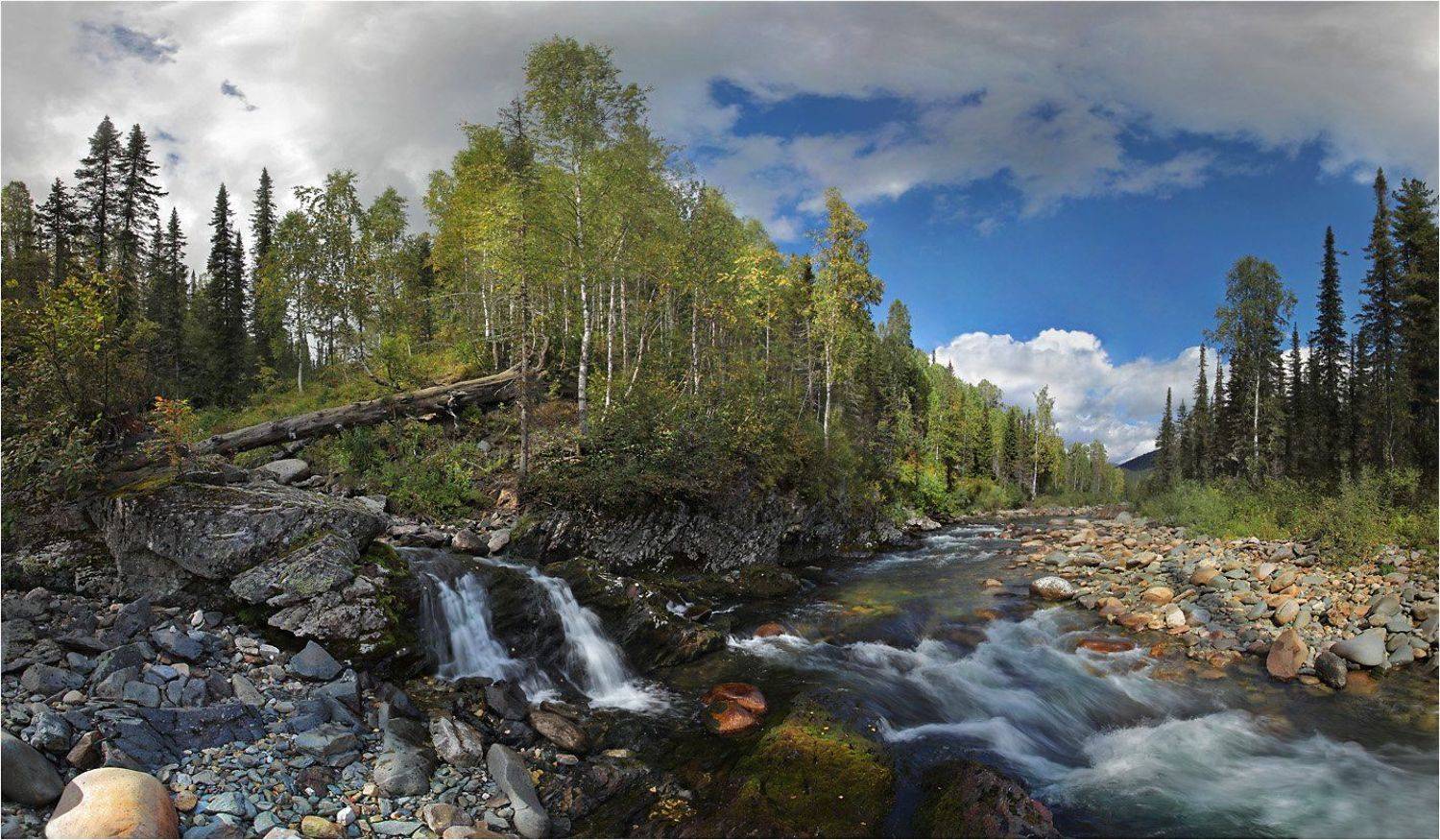 Поднебесные зубья, Устинович Александр