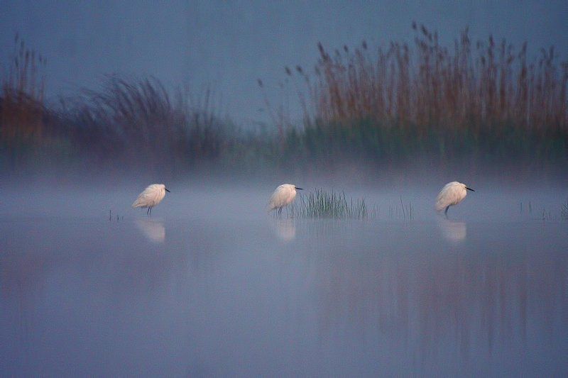 Сказка фото превью
