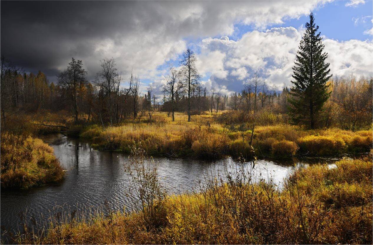 , Анатолий Гулин