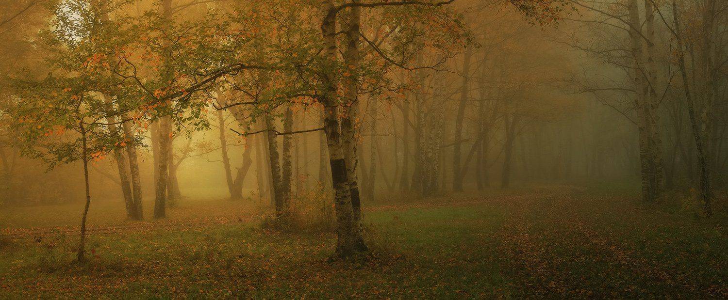 , Михаил  Пилипенко