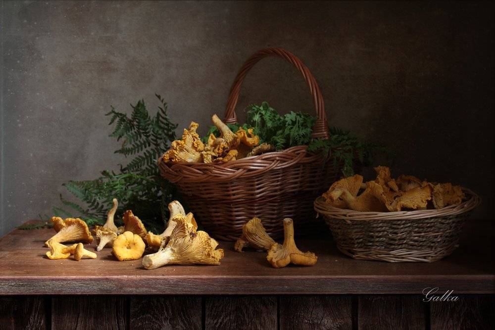 , Ганина Галина