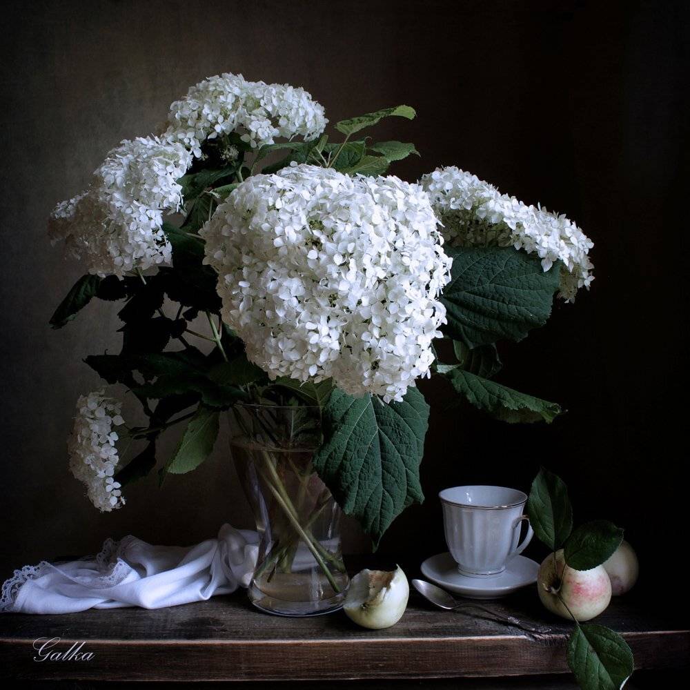 , Ганина Галина