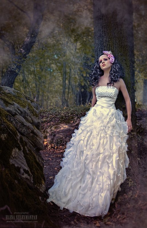 forest fairytale фото превью