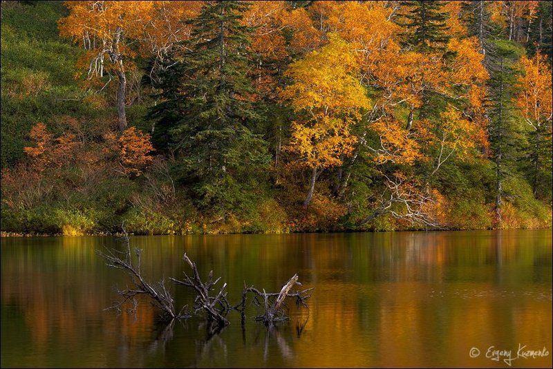 Гора шпамберг, Озеро моховое, Сахалин Осень на горных озерах у горы Шпамберг фото превью