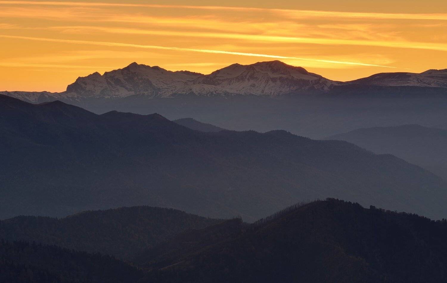 , Максим Евдокимов