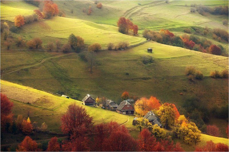 Осенние пасторали... фото превью