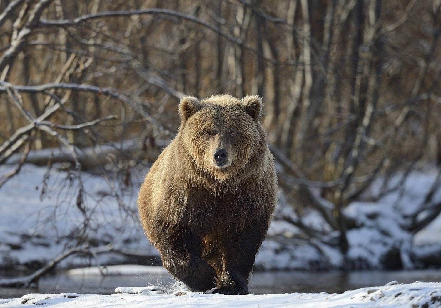 , Сергей Иванов