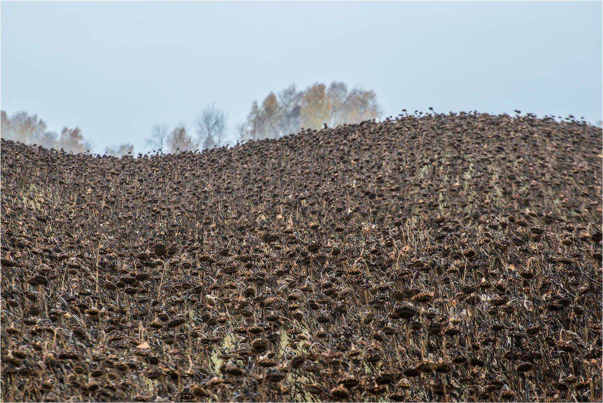 , Кутыгин Эдуард