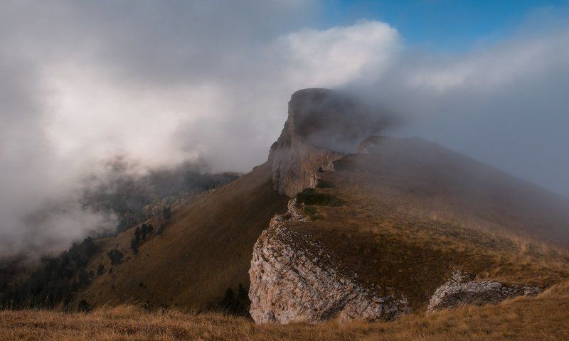 ТХАЧ СЕБЕ НЕ ИЗМЕНЯЕТ, ЧАСТО БАНЬКУ  ПРИНИМАЕТ! фото превью
