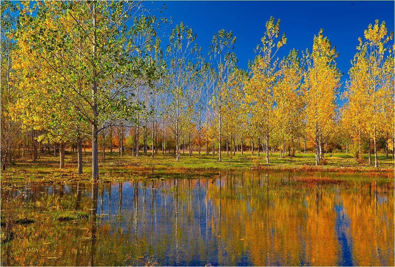 , Kostadin Momchilov