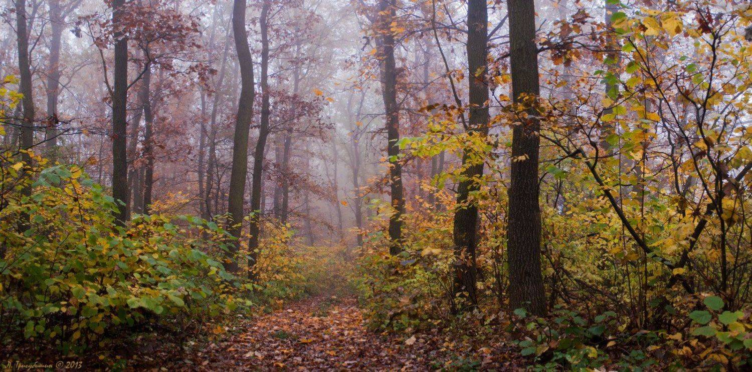 , Любомир Тригубишин