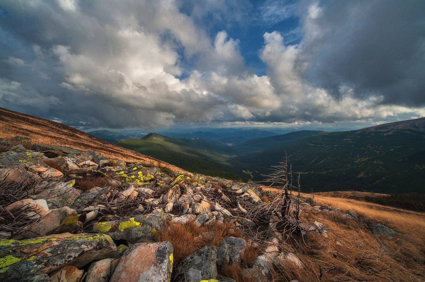 , Олег Логунов