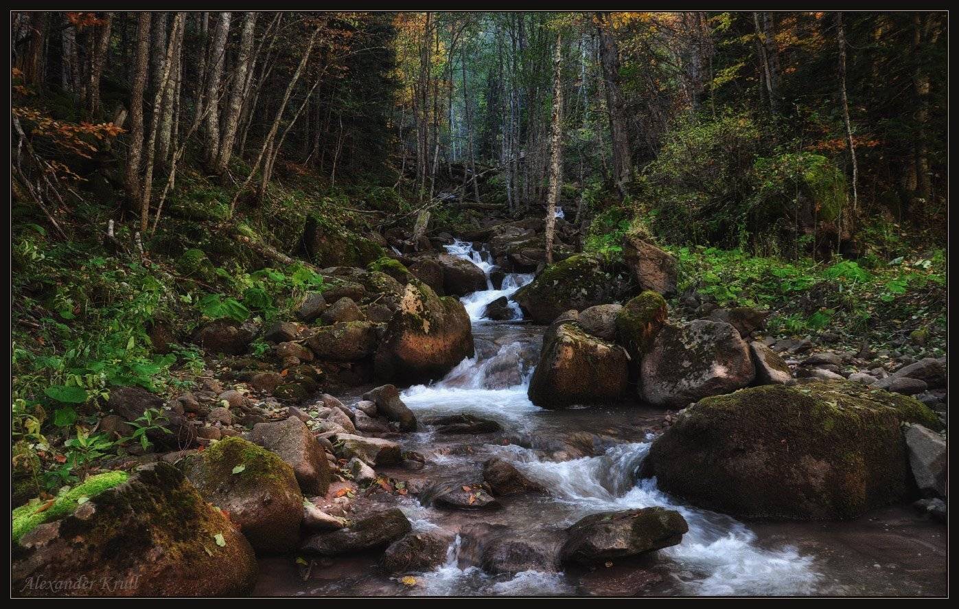 рожкао, речка, осень, лес, Александр Круль