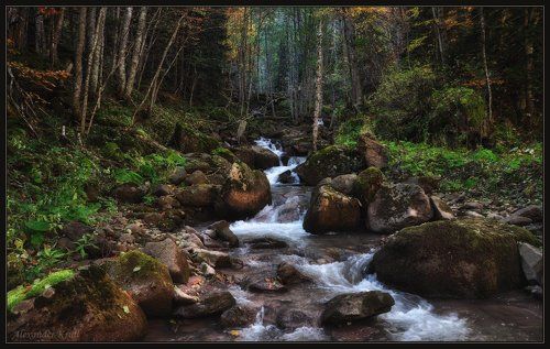 По осеннему Рожку...