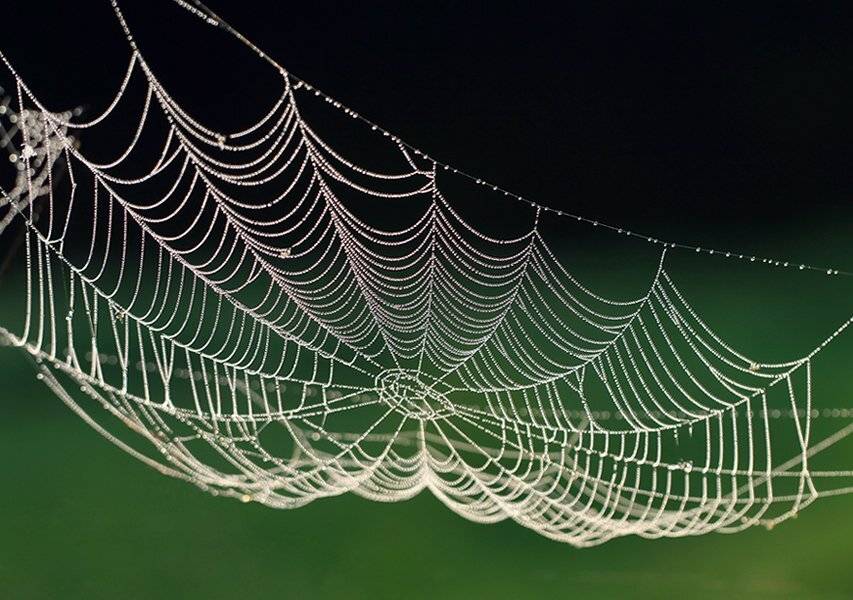 , Иваненко Светлана