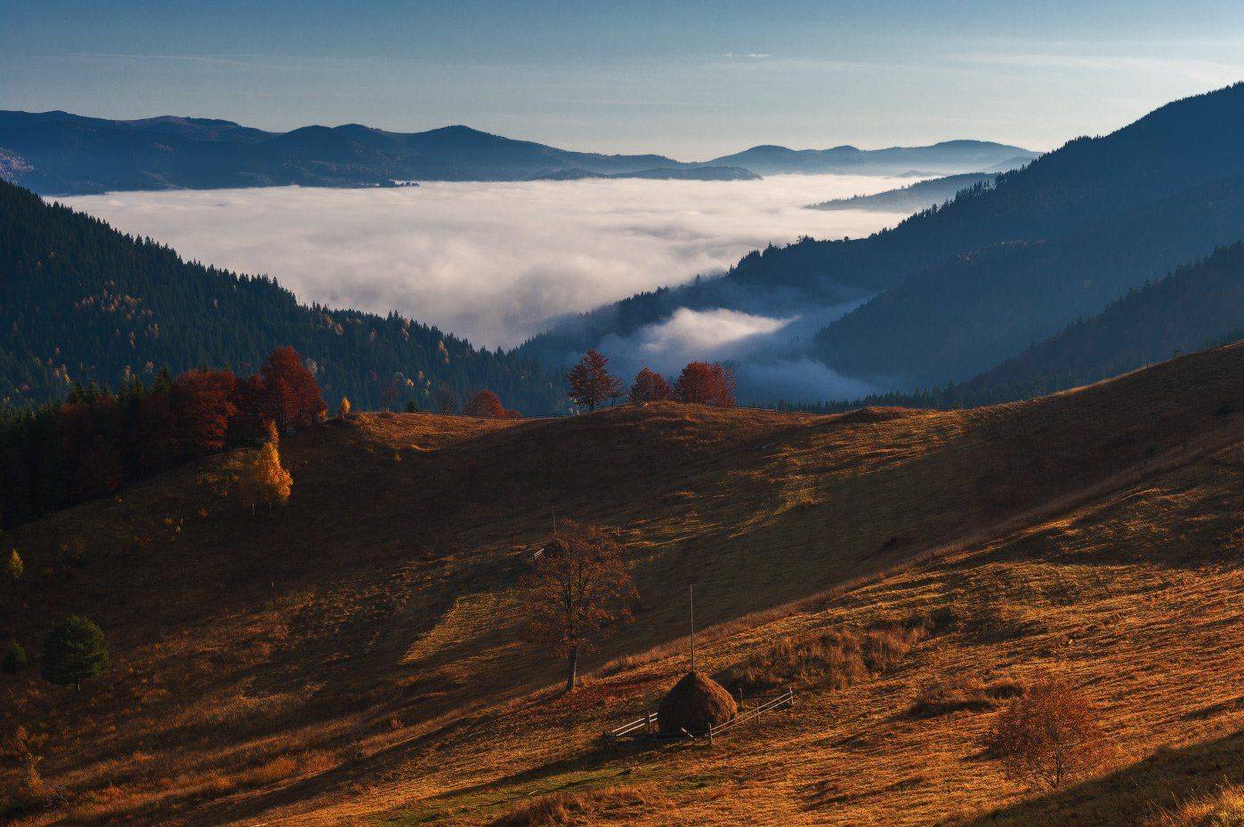 , Олег Логунов