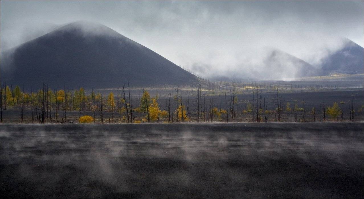 , Вадим Никифоров