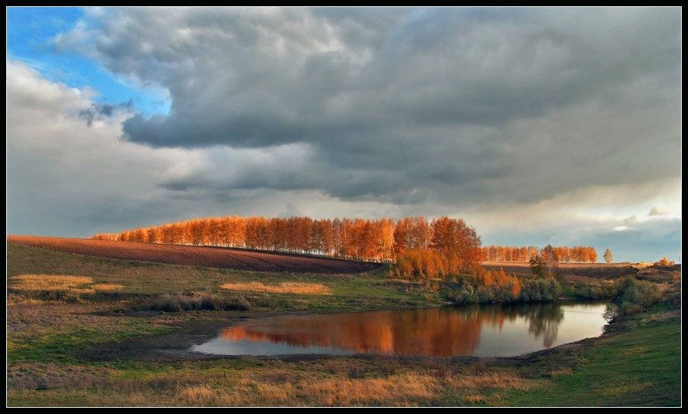 , Сергей Никсон
