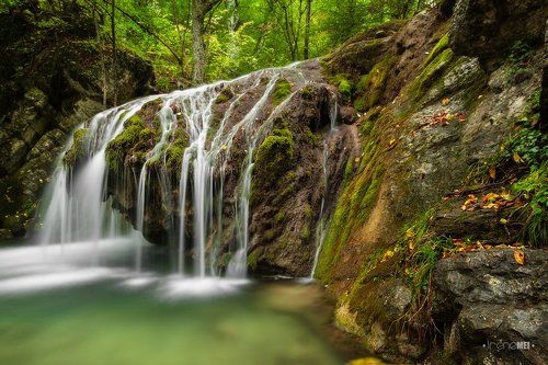 Энергия жизни