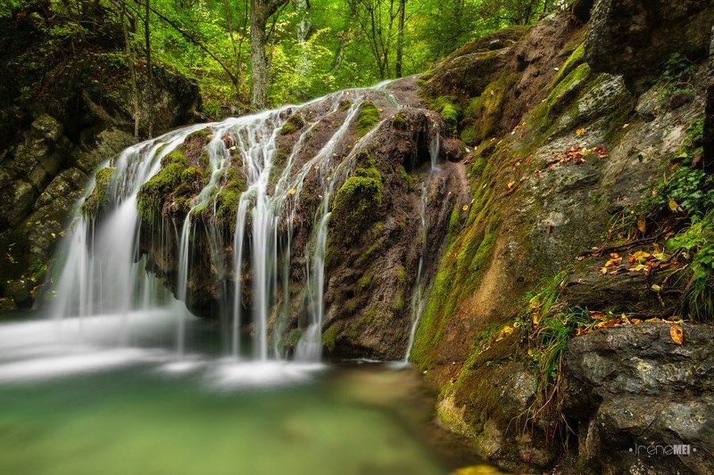 Энергия жизни фото превью