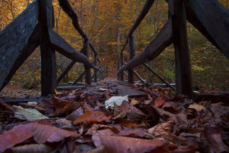 осень Мезмайские , осенние фото превью