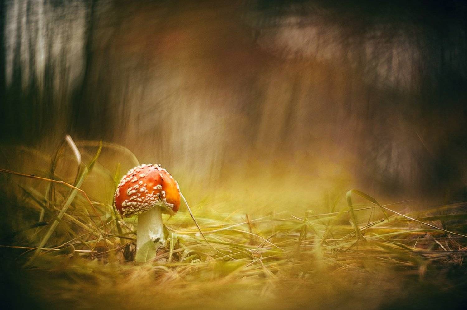 , Татьяна Аверина