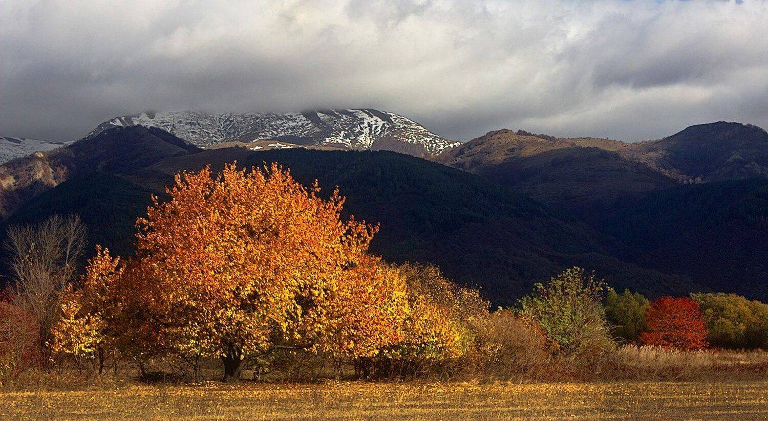 , Ирина Костова