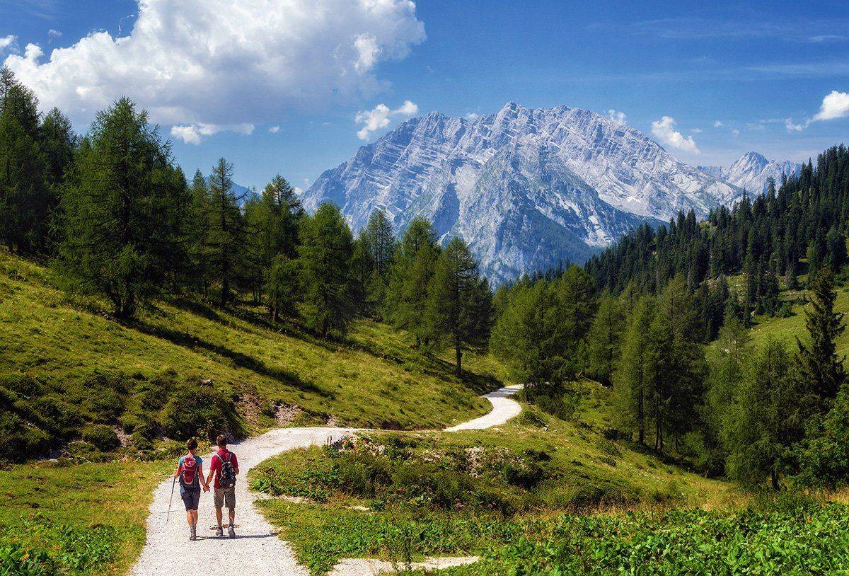 , Игорь Мелекесцев