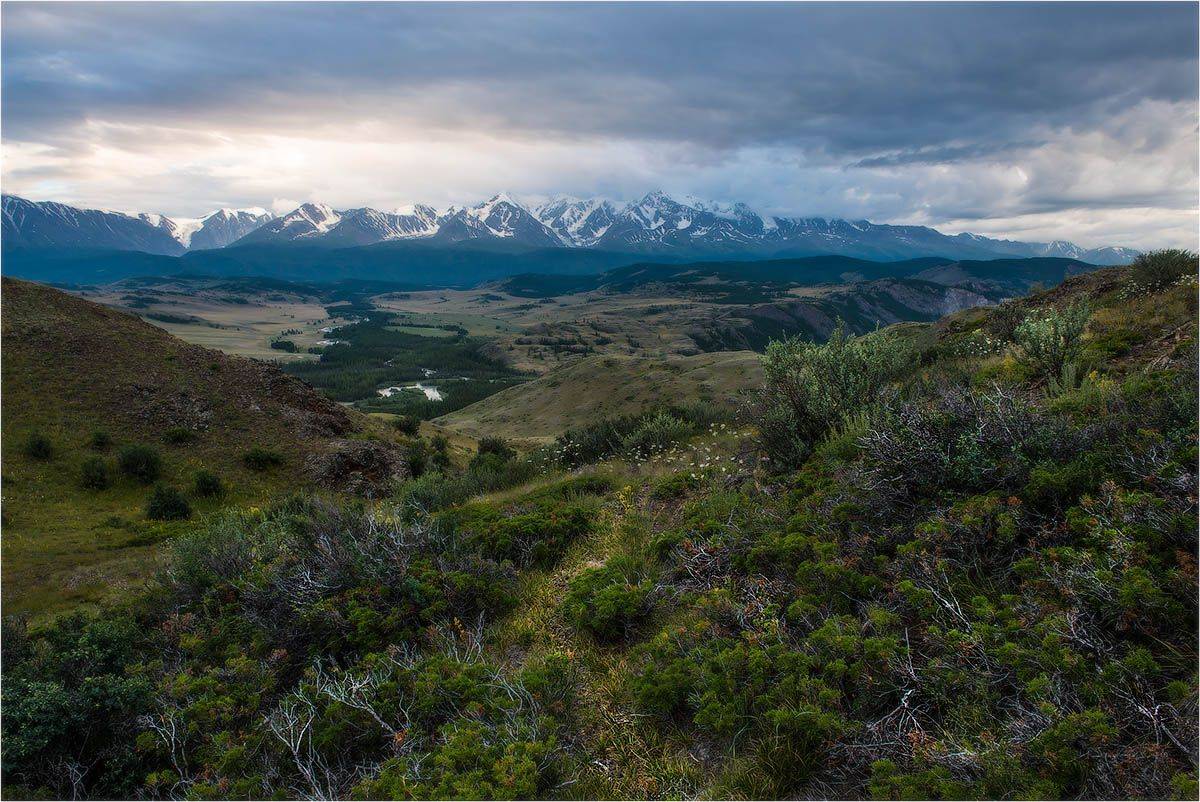 курайская, степь., северо-чуйский, хребет., Кутыгин Эдуард