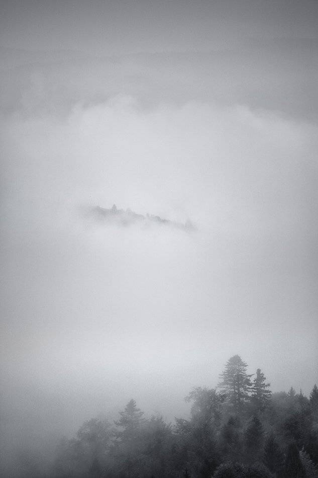 , Вейзе Максим