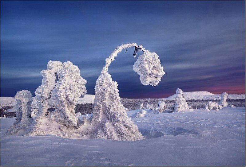 Когда зацветают тюльпаны... фото превью
