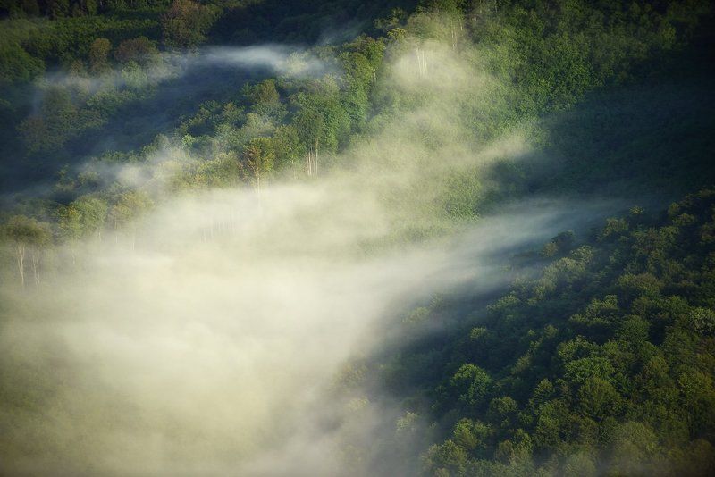 Morning fog фото превью