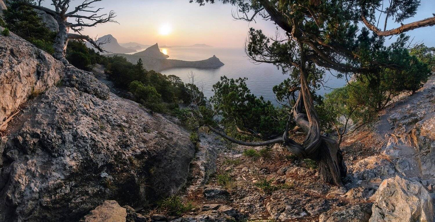 , Маркович Михаил