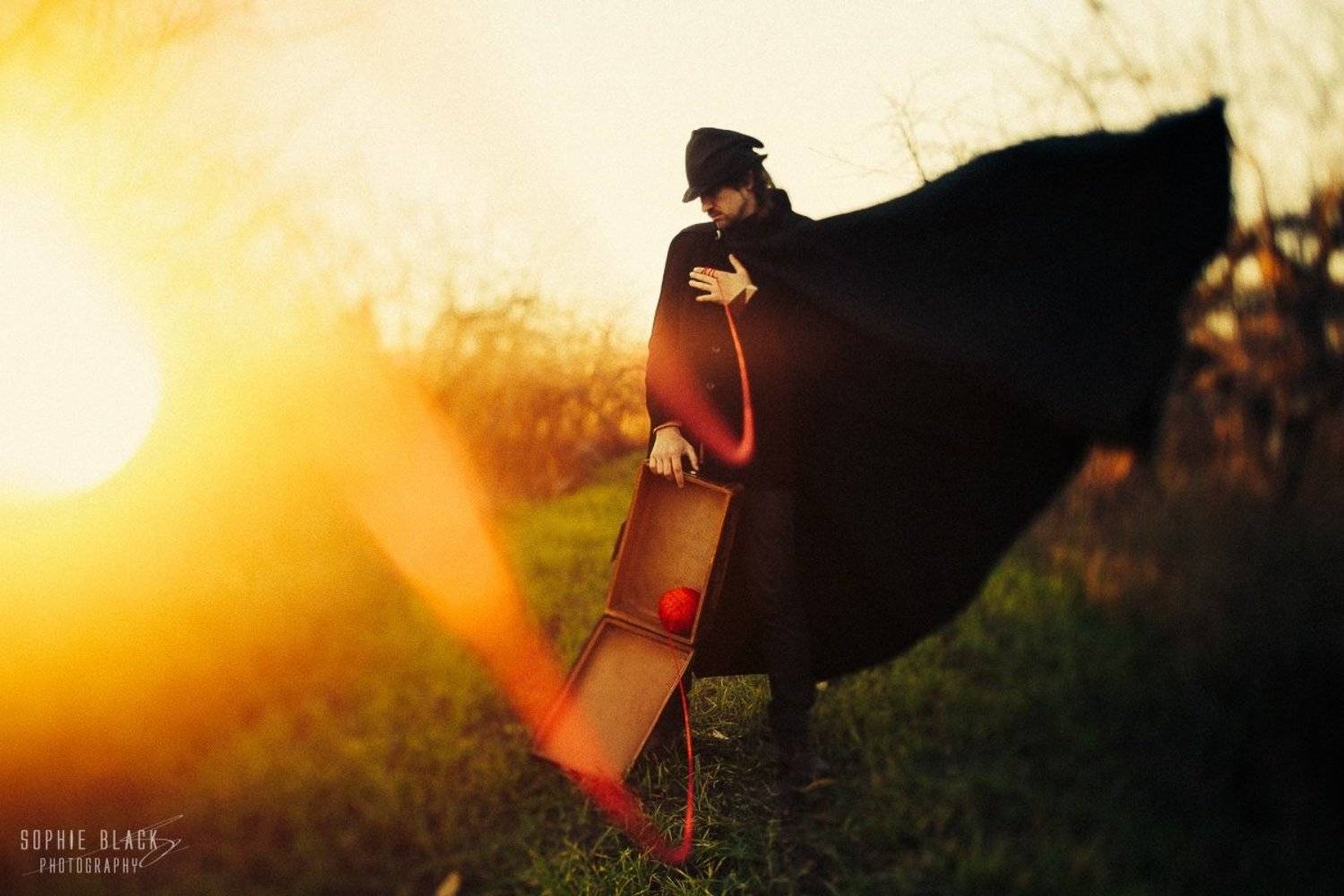 , Софи Черных