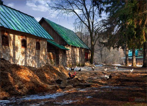 Пейзаж с курочками..
